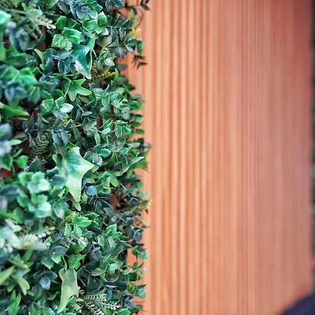 Brisas Al Mar * Κανδελάρια